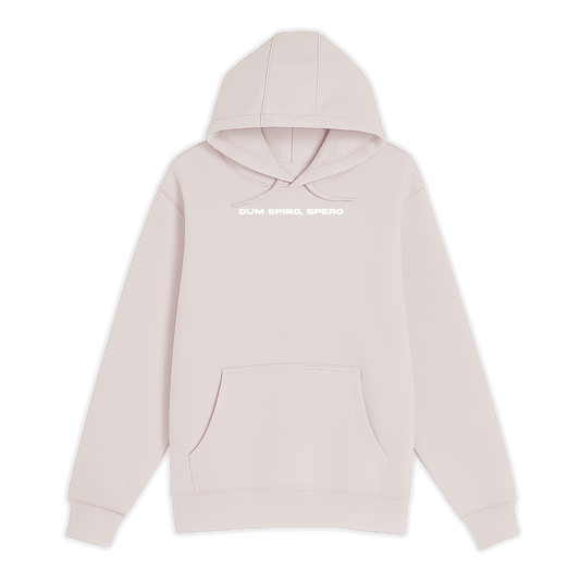 Unisex Small Light Pink Pullover Hooded Sweatshirt